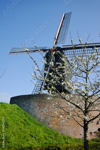 Old windmill in Netherlands, spring season photo