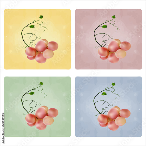 Fresh bunch of grapes. Manufacturer of fresh juices and wine. set logo.