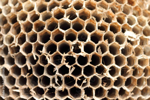 The hornets nest has many holes  many of which are made from natural materials.