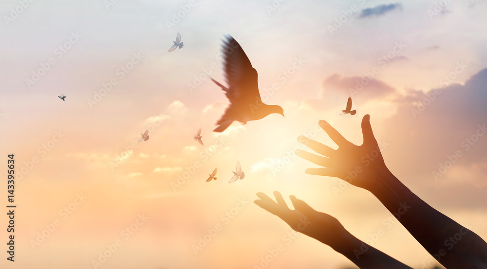 Naklejka Kobieta modli się i uwalnia ptaki cieszące się przyrodą na tle zachodu słońca, koncepcja nadziei