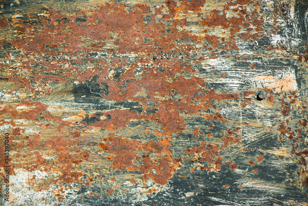 Fototapeta premium corroded rusty metal gate rust