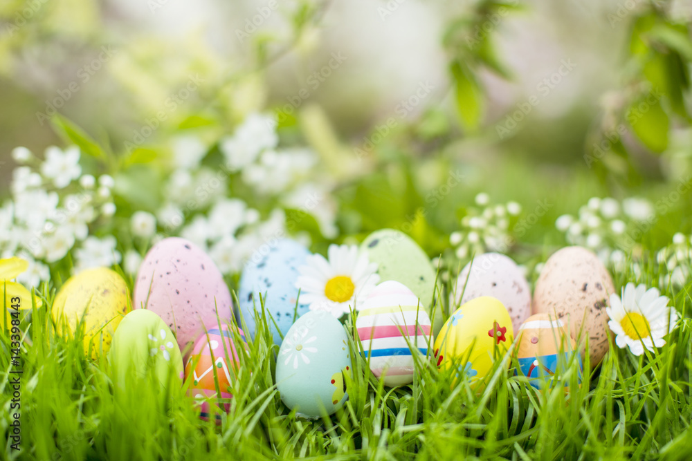 Naklejka premium Easter-color in nature