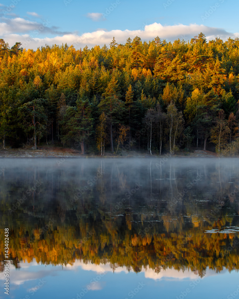 Obraz premium Autumn colored trees by lake with mist