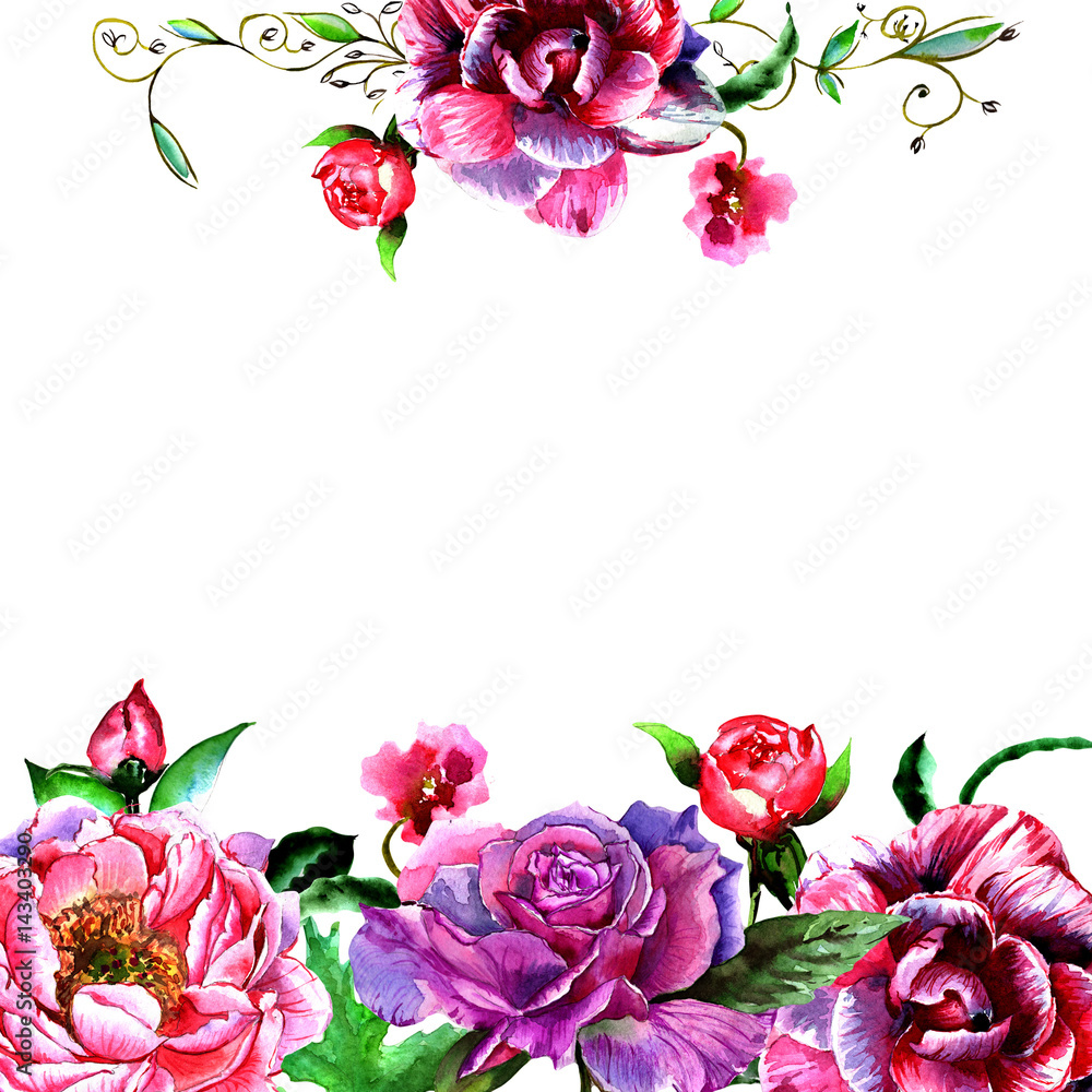 Wildflower peony flower frame in a watercolor style isolated.