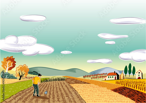 agricultural landscape, cultivated with various vegetables and cereals,
