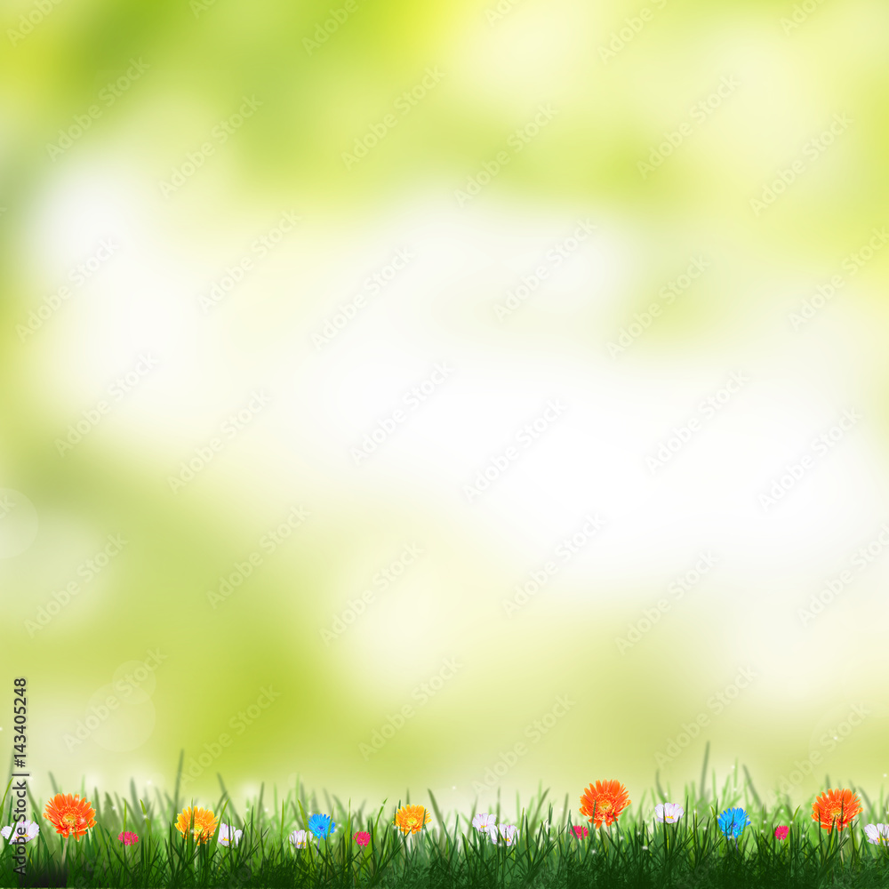 Obraz premium abstract spring time background with flowers, nature summer floral wallpaper. 