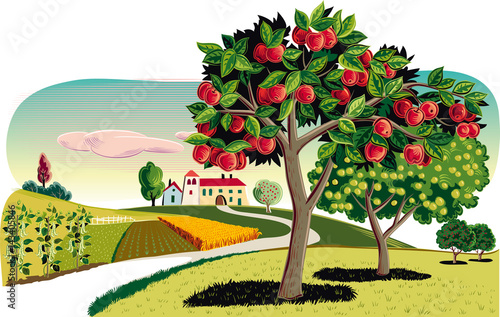 Orchard with rows of apple trees at dawn