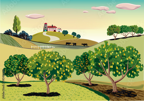 agricultural landscape, with pear tree.