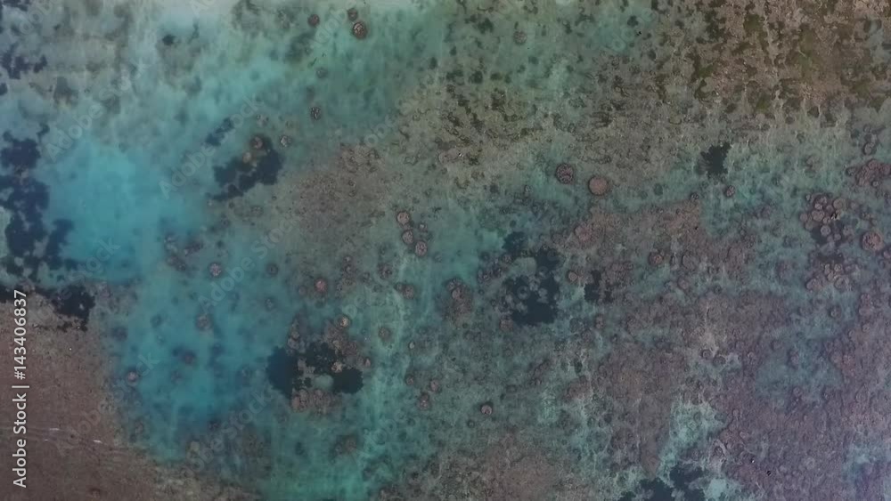 Top View of a Beautiful Ocean Floor Texture Top View of a Beautiful Ocean Floor Texture