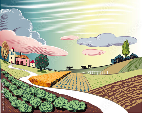 agricultural landscape, with cows, cultivated with various vegetables and cereals