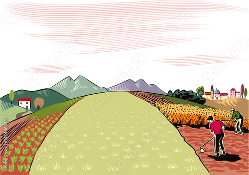 agricultural landscape, cultivated by two farmers