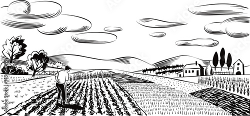 agricultural landscape, cultivated with various vegetables and cereals,