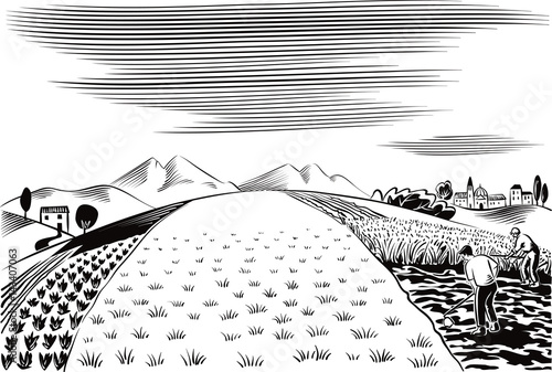 agricultural landscape, cultivated by two farmers