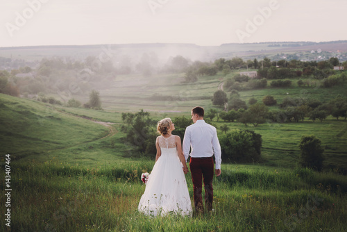 Young beautiful wedding couple hugging in a field back to camera. Lovely couple, bride and groom posing in field during sunset, lifestyle