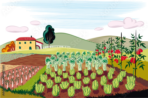 agricultural landscape, cultivated with various vegetables and grains.