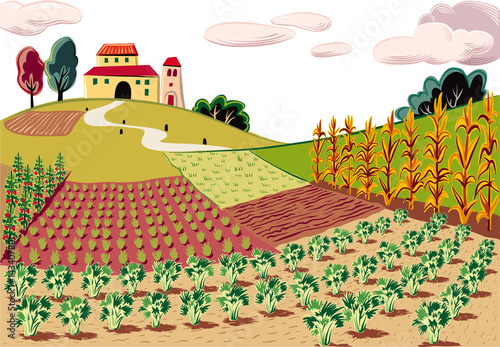 agricultural landscape, cultivated with various vegetables and cereals