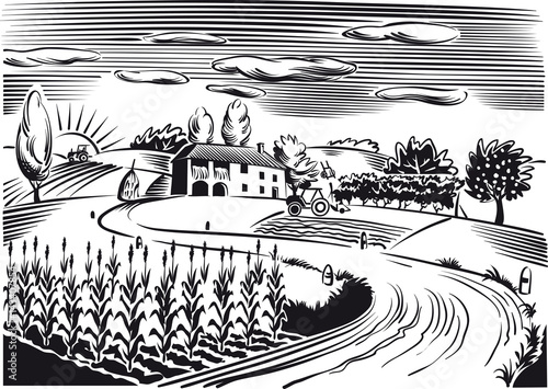 Agricultural landscape with cultivated fields.
