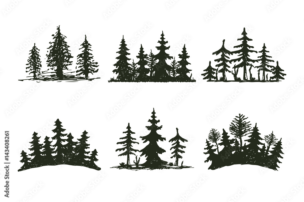 cedar tree silhouette