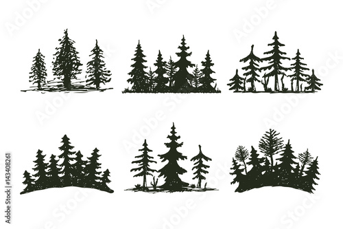 Tree outdoor travel black silhouette coniferous natural badge, tops pine spruce branch cedar and plant leaf abstract stem drawing vector illustration.