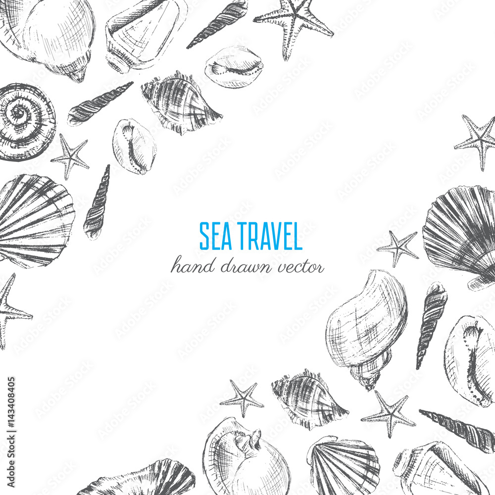Seashell hand drawn vector etching sketch isolated on white background, decorative frame, underwater marine texture, template label layout design for card, beauty salon, natural cosmetic, organic shop