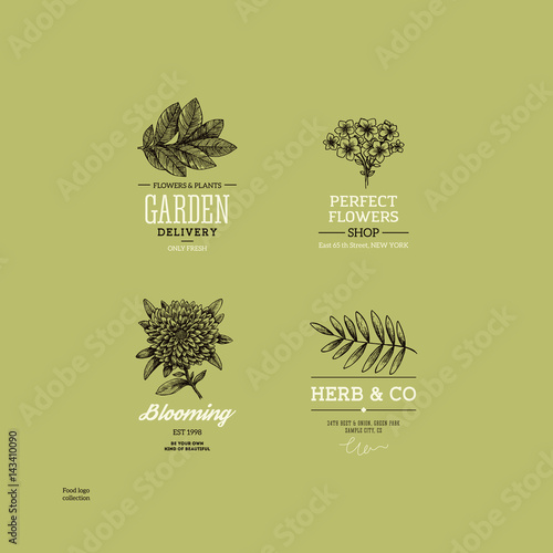 Vintage nature logo collection. Engraved logo set. Vector illustration