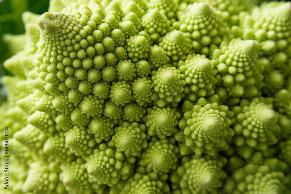 Broccolo romanesco, Romanesco broccoli Broccolo romanesco, Romanesco broccoli