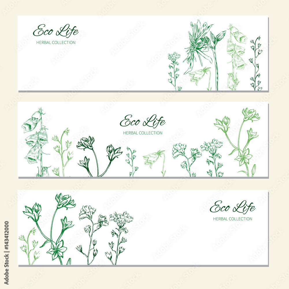 Horizontal banners with flowers and herbs, Hand drawn vector illustration isolated on white, herbal sketch, Design label for packaging cosmetic, beauty salon, natural organic product, greeting card