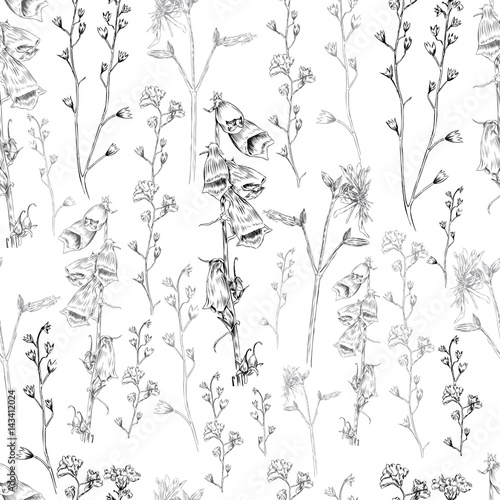 Wild flower vector engraving sketch hand drawn isolated on white, Seamless floral pattern for greeting card, package cosmetic, tea, wedding invitation, restaurant menu, wallpaper, decorative texture