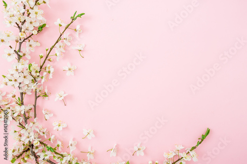 Spring white flowers isolated on pink background. Flat lay, top view. Floral background.  Frame. © artifirsov
