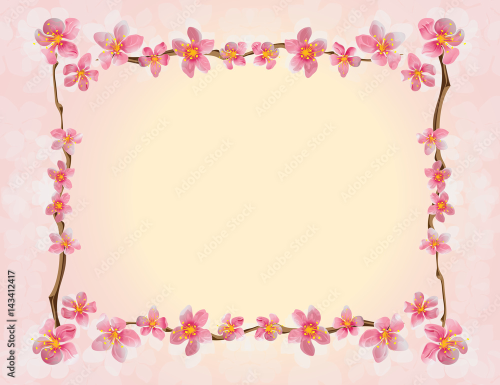 Spring flowers on a pink background.