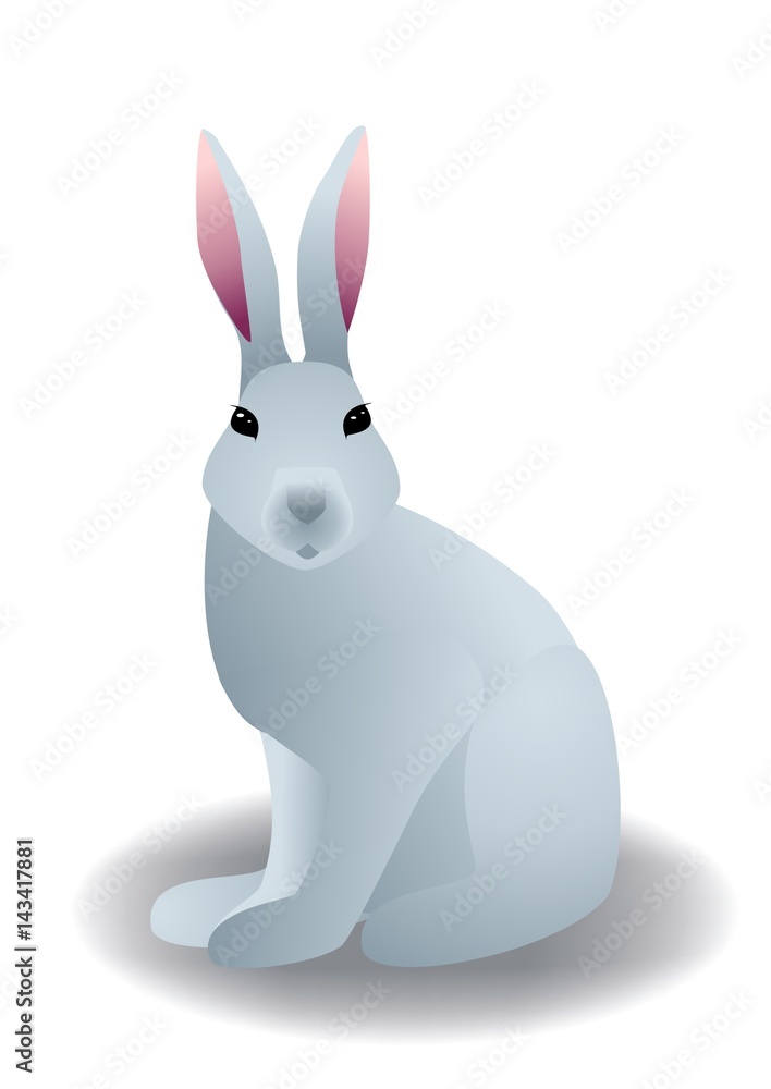 Gris lapin Gris lapin