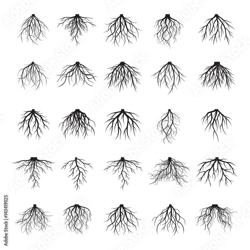 Big set of black roots. Vector Illustration.