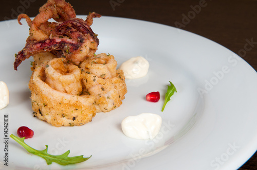 Calamari freshly prepared seafood on a white plate