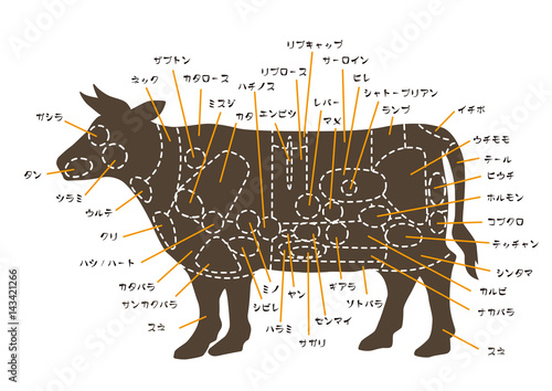 牛の部位