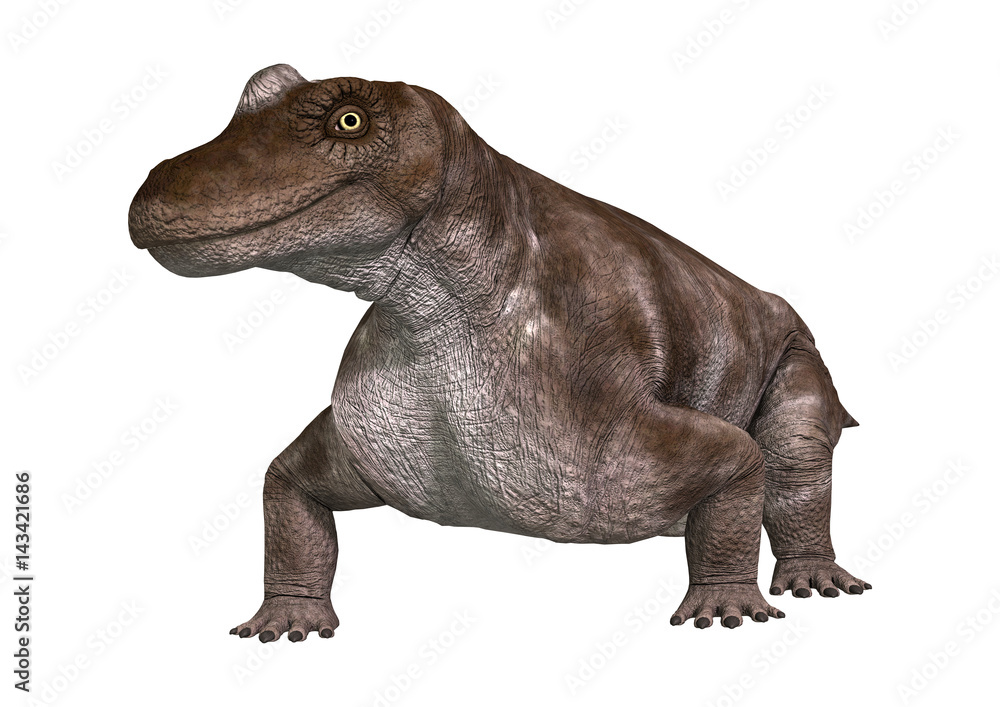 Fototapeta premium 3D Rendering Dinosaur Keratocephalus on White