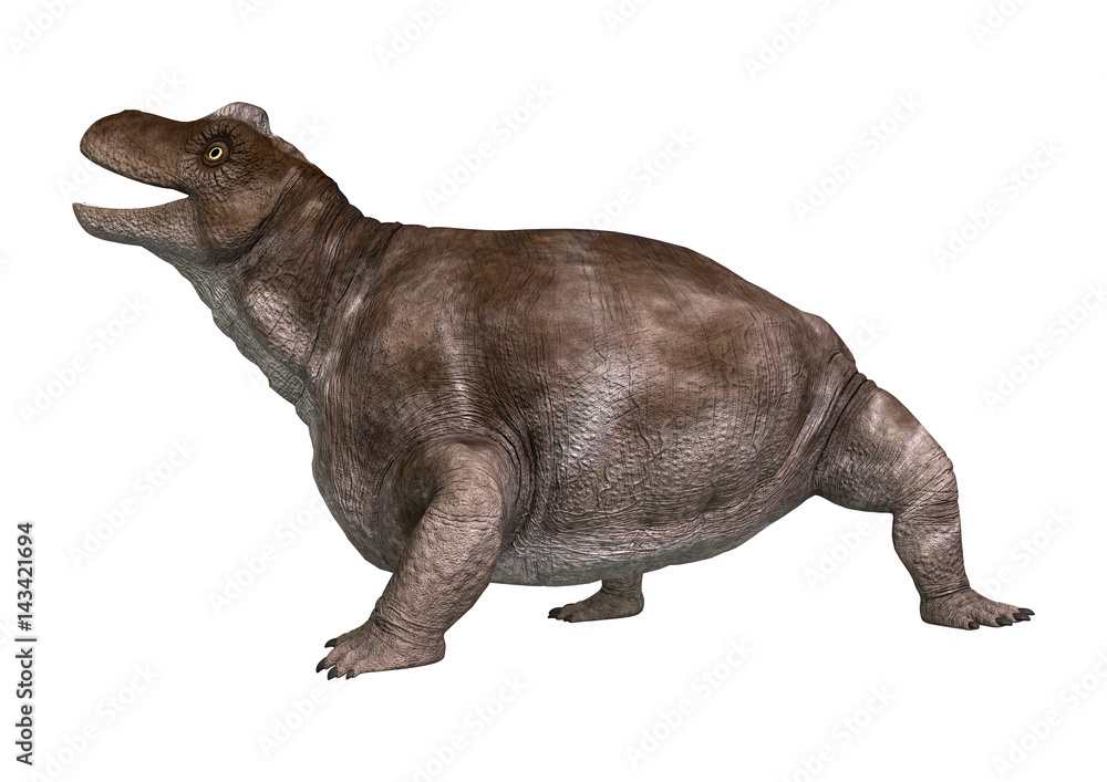 3D Rendering Dinosaur Keratocephalus on White 3D Rendering Dinosaur Keratocephalus on White