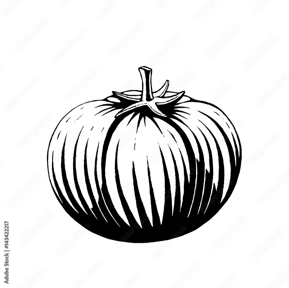 Vectorized Ink Sketch of a Tomato Vectorized Ink Sketch of a Tomato