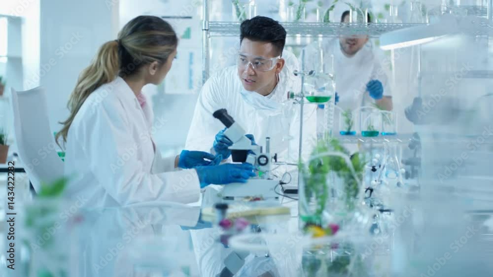 Research scientists studying plant life in lab & discussing their findings Research scientists studying plant life in lab & discussing their findings