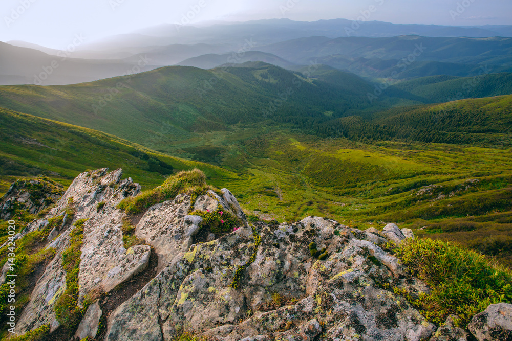 Fototapeta premium Mountain valley during sunrise / sunset. Natural summer landscape. Colorful summer landscape in the Carpathian mountains. Stone surface