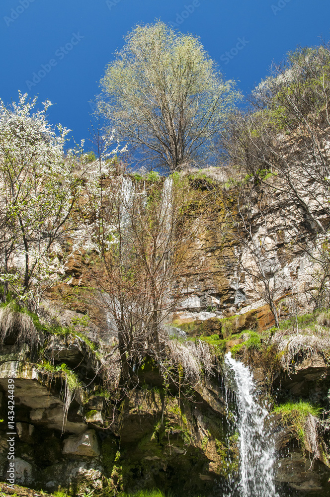 Small abounding in water mountain waterfall in early springtime Small abounding in water mountain waterfall in early springtime
