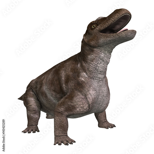 3D Rendering Dinosaur Keratocephalus on White