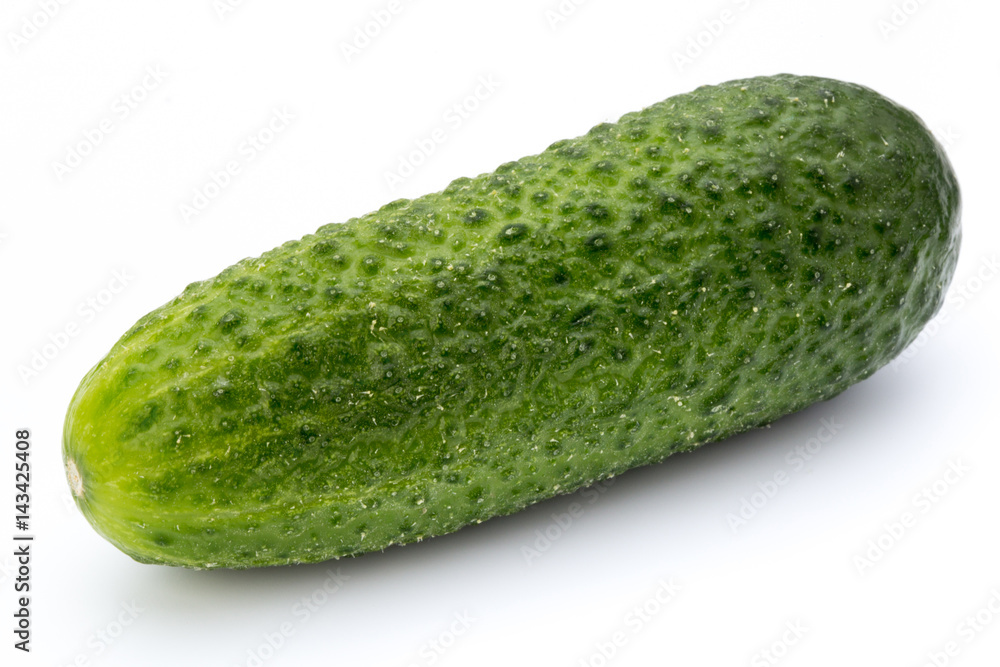 The first spring ecologically cucumbers. The first spring ecologically cucumbers.