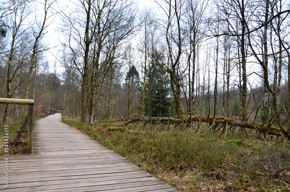 Das Rote Moor (Rhön) Das Rote Moor (Rhön)