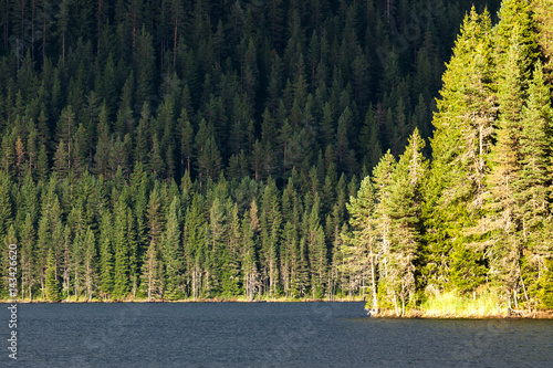 Green lake shore line