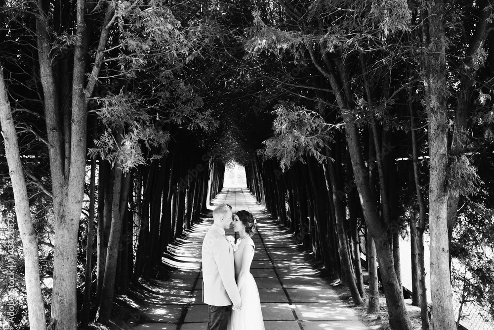 Man and woman look in each other eyes standing on the path under tall trees