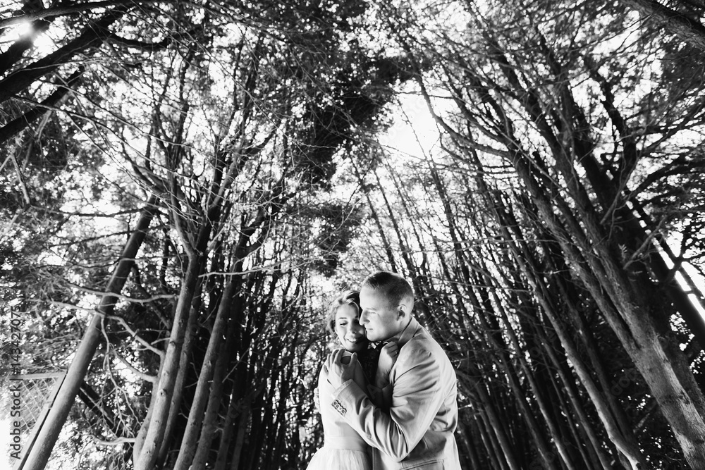 Warm embraces of man and woman standing under tall trees Warm embraces of man and woman standing under tall trees