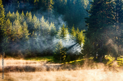 Vapors and sunbeams by a lake