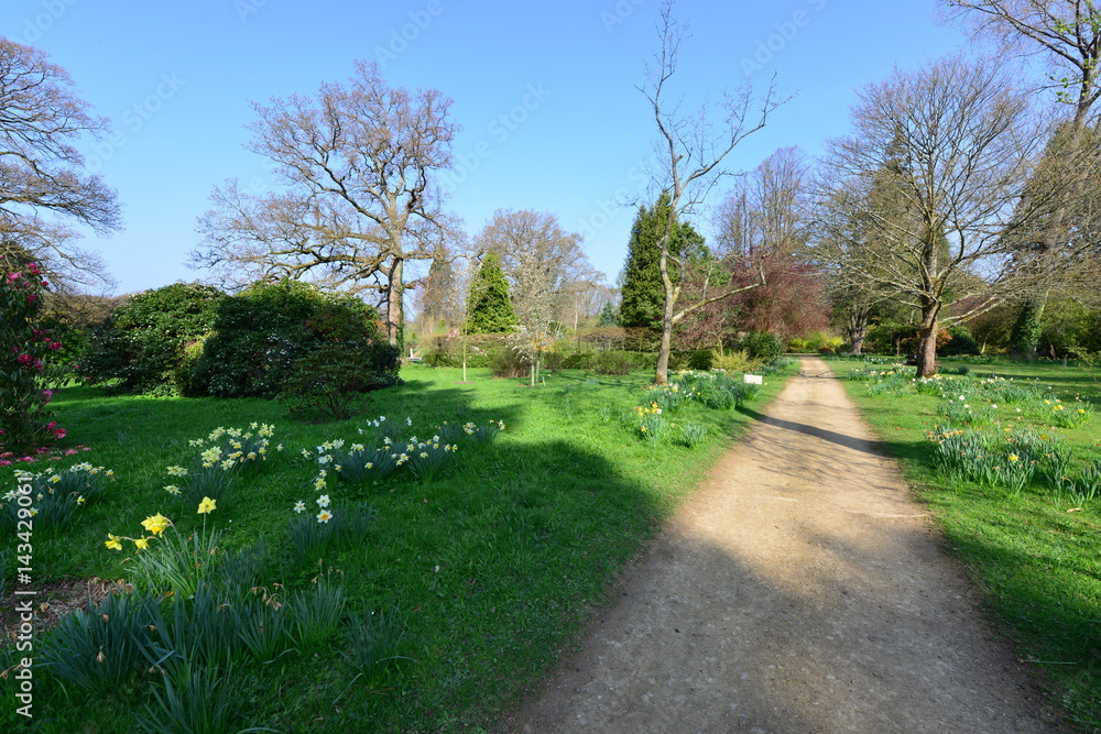 The gardens of an English country estate in Springtime.

