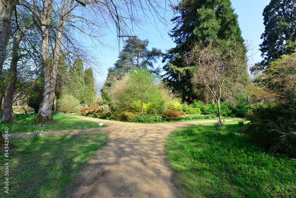 Obraz premium The gardens of an English country estate in Springtime. 