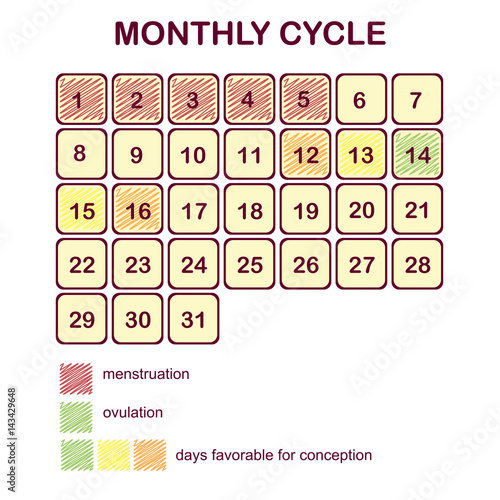 The monthly cycle of a woman. Menstruation and ovulation. Planning pregnancy and family. Days favorable for conception.